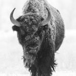 elijah-pilchard-6fVkz_RdUJ8-unsplash