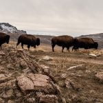 lesly-derksen-T-vy4g9_4s4-unsplash