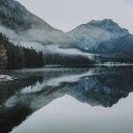 pexels-fotografierende-5832871