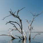 h_pexels-julia-volk-5273088