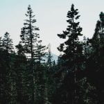 h_thalia-ruiz-xd93Thhq42w-unsplash