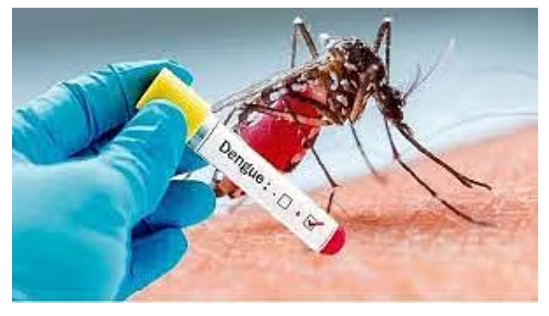 Over 100 people from Madhya Pradesh’s Morena vill infected with dengue