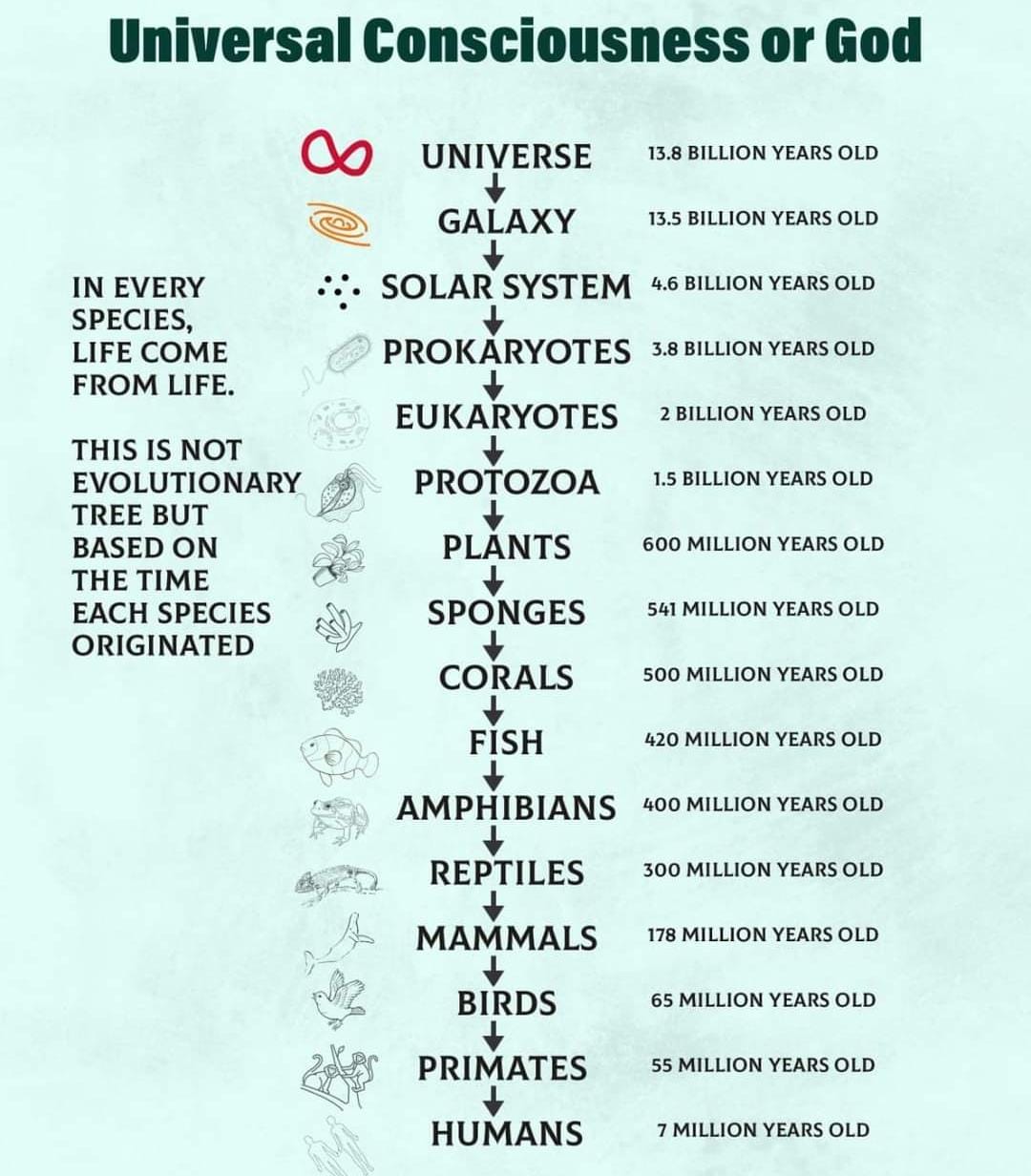 Kerala Professor Manoj Kumar Becomes First Indian to Propose a Universal Law After 14 Years of Research Manoj Kumar