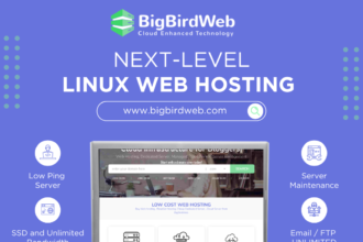 Bigbirdweb