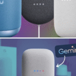 Gemini (1)