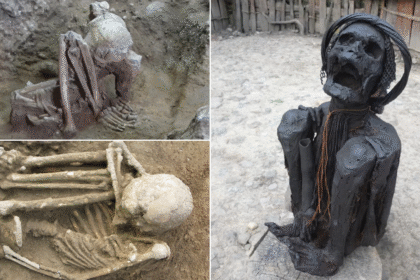 Artificial Mummification