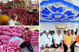 Onion Farmers