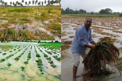 Government Moves Swiftly