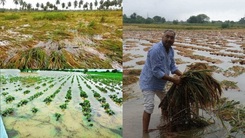 Government Moves Swiftly