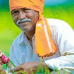 नमो शेतकरी महासन्मान निधी योजना