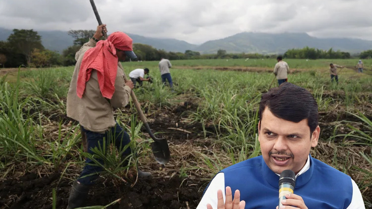 Devendra Fadnavis Clarifies Sugarcane Levy Farmers Won’t Bear Burden for Marathwada Flood Relief Devendra Fadnavis