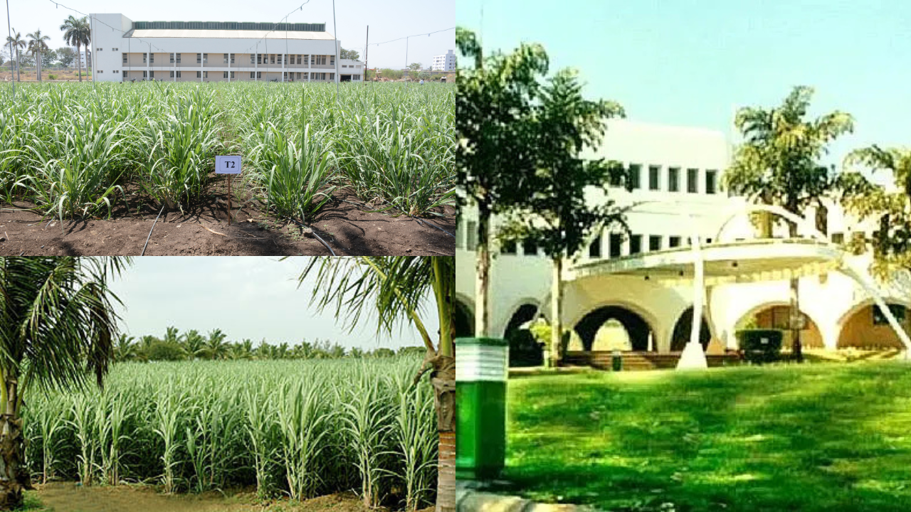 Untitled design - 2025-10-13T125806.476 Vasantdada Sugar Institute