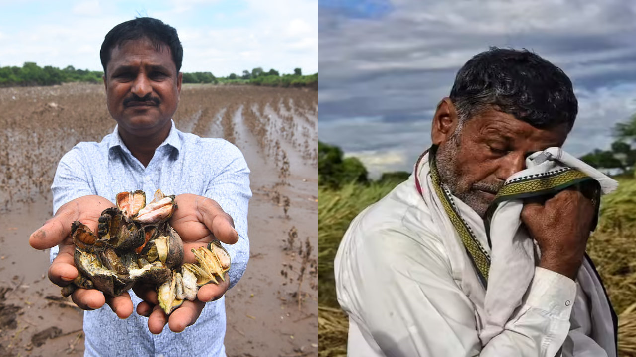 Untitled design - 2025-10-15T171853.548 Government Approves