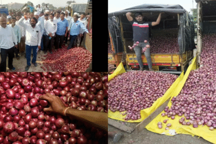 Nashik Faces Onion Price