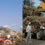 Maharashtra Sugar Market