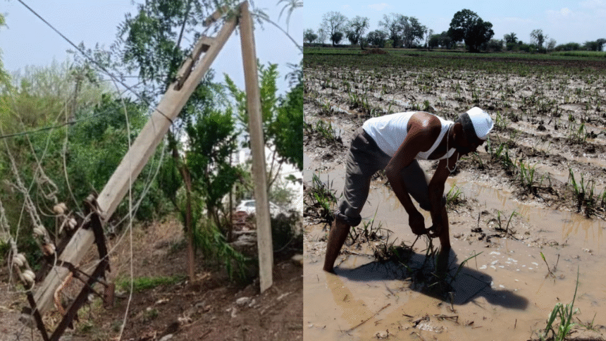 Unseasonal Rain Devastates