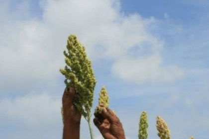 Untitled design - 2025-11-19T201727.302