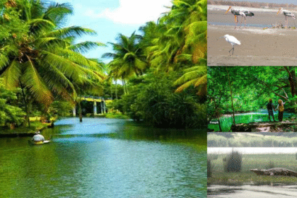 India’s Eco-Tourism