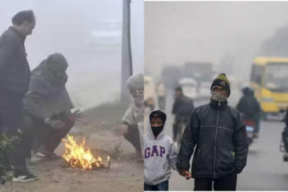 Cold Wave Intensifies Across Vidarbha