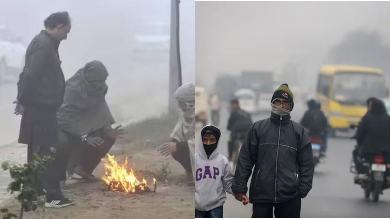 D2C (7) Cold Wave Intensifies Across Vidarbha