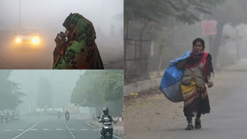 Cold Wave Warning in Madhya Pradesh