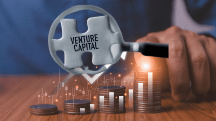 Venture Capital Revolution 2025