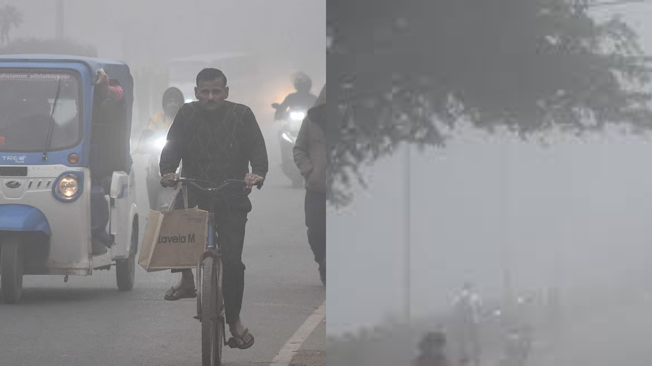 MP Congress New Year (21) Cold Wave